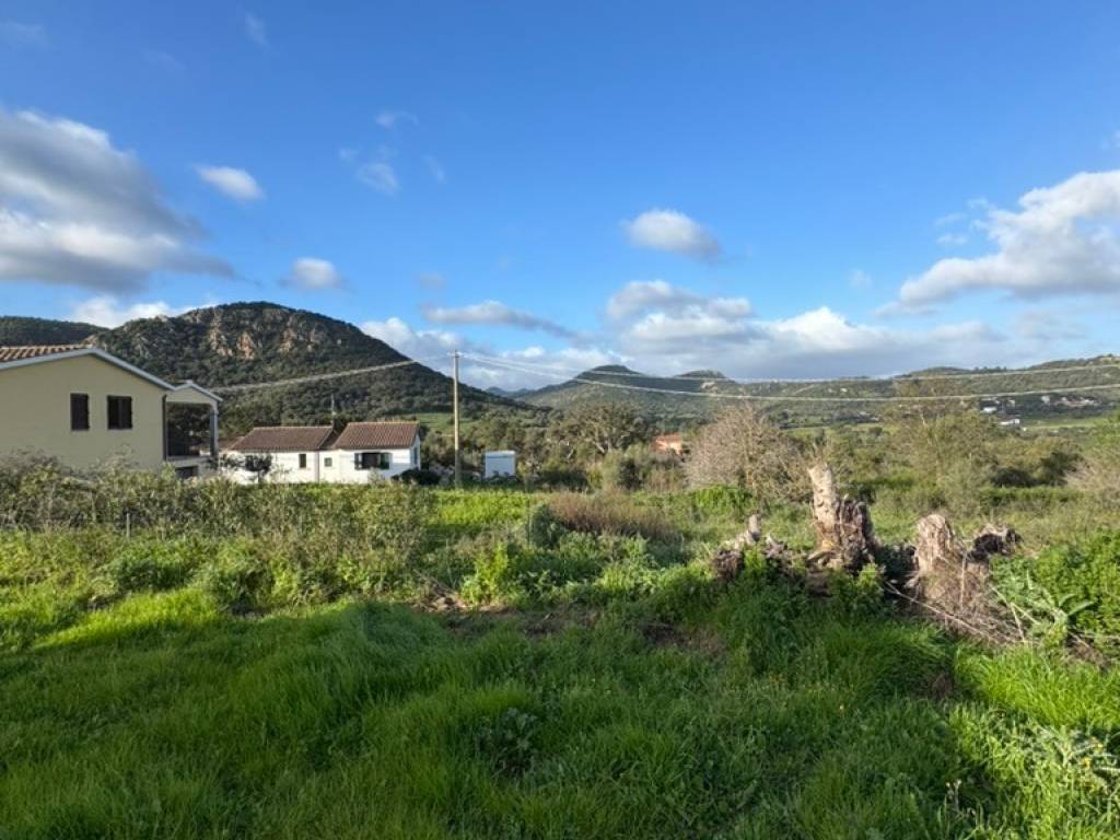 terreno agricolo in vendita a Loiri Porto San Paolo in zona Trudda
