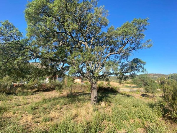 terreno agricolo in vendita a Loiri Porto San Paolo