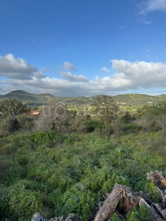 terreno edificabile in vendita a Loiri Porto San Paolo