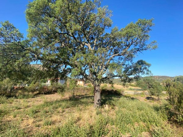 terreno agricolo in vendita a Loiri Porto San Paolo in zona Trudda