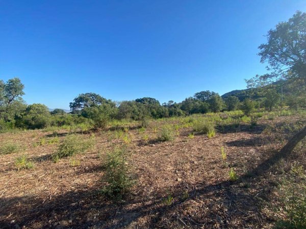 terreno agricolo in vendita a Loiri Porto San Paolo in zona Trudda