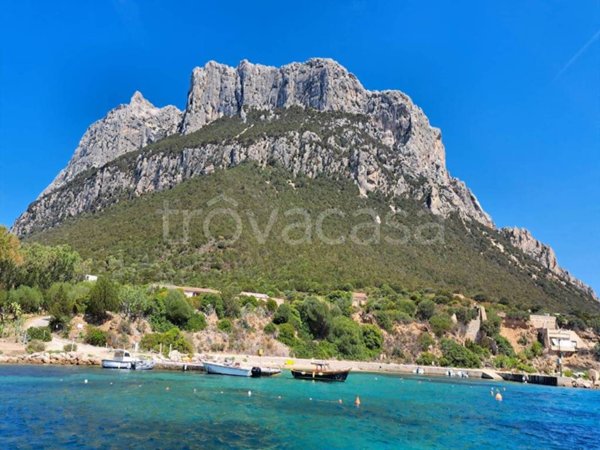 appartamento in vendita a Loiri Porto San Paolo