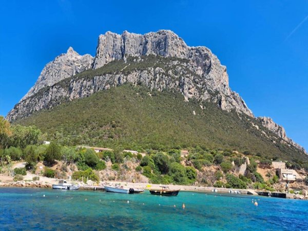 appartamento in vendita a Loiri Porto San Paolo in zona Vaccileddi.