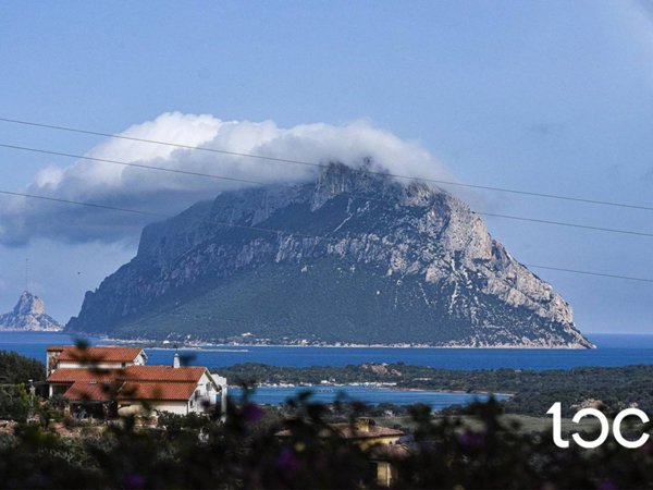 casa indipendente in vendita a Loiri Porto San Paolo