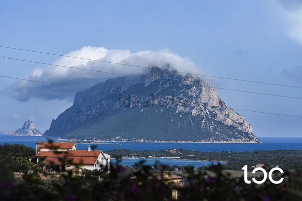 casa indipendente in vendita a Loiri Porto San Paolo