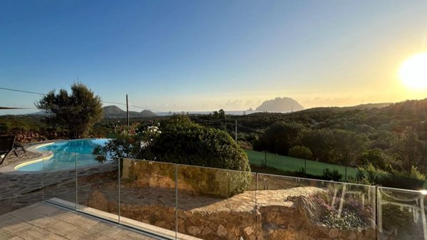 pentavano in vendita a Loiri Porto San Paolo