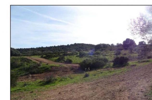 terreno edificabile in vendita a Loiri Porto San Paolo