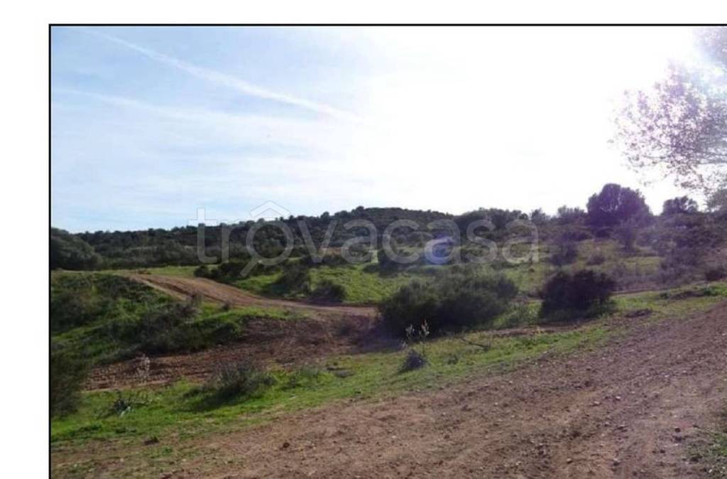 intera palazzina in vendita a Loiri Porto San Paolo