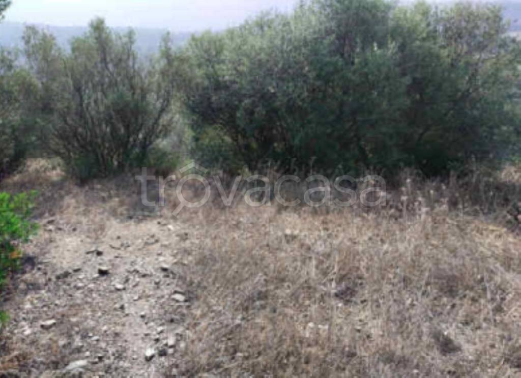 terreno agricolo in vendita a Loiri Porto San Paolo