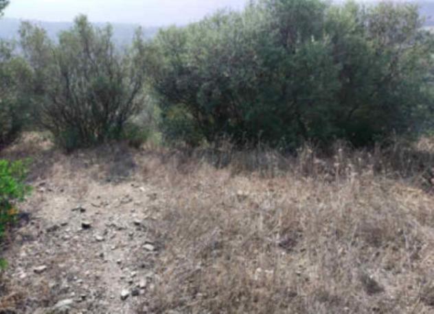 terreno agricolo in vendita a Loiri Porto San Paolo