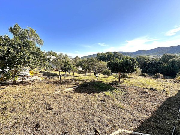 terreno agricolo in vendita a Loiri Porto San Paolo in zona Trudda