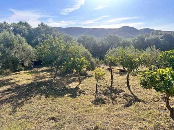 terreno agricolo in vendita a Loiri Porto San Paolo in zona Trudda