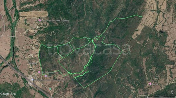 azienda agricola in vendita a Loiri Porto San Paolo