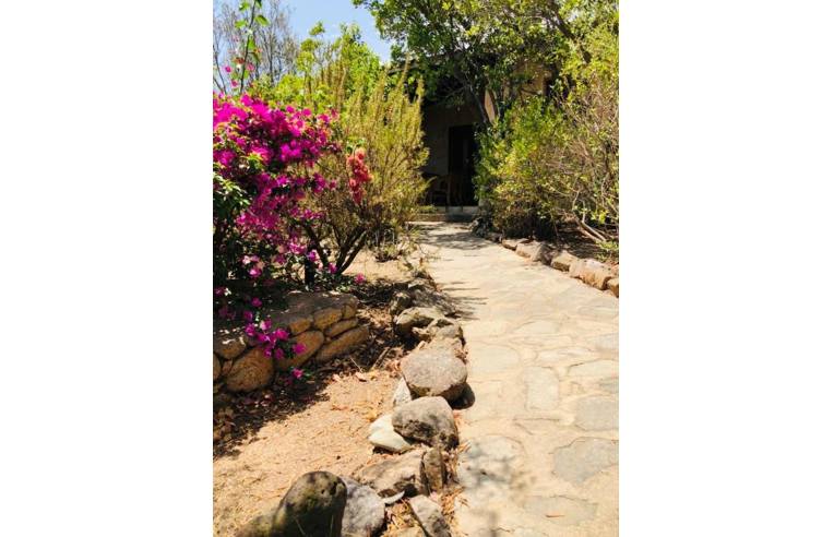 casa indipendente in vendita a Loiri Porto San Paolo