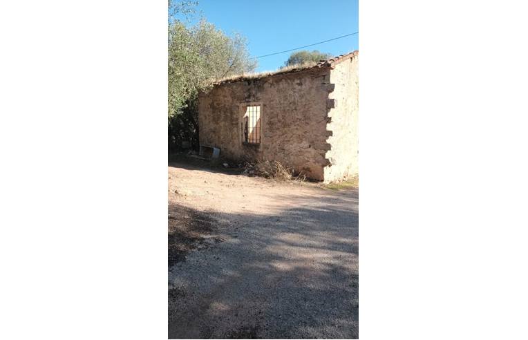 terreno agricolo in vendita a Loiri Porto San Paolo