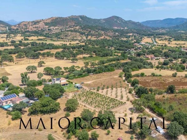 terreno agricolo in vendita a Loiri Porto San Paolo