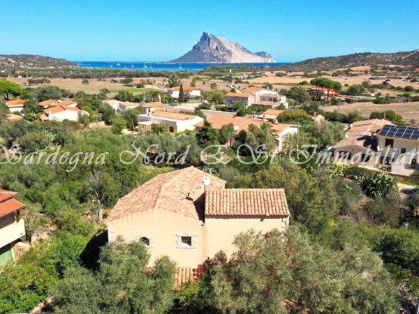 casa indipendente in vendita a Loiri Porto San Paolo in zona Vaccileddi.