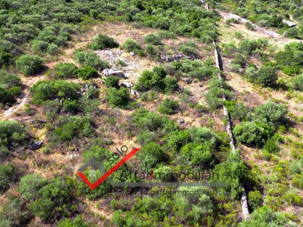 terreno agricolo in vendita a Loiri Porto San Paolo