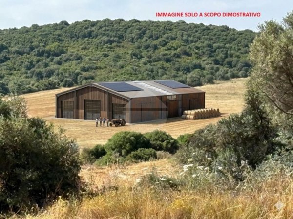 terreno agricolo in vendita a Loiri Porto San Paolo