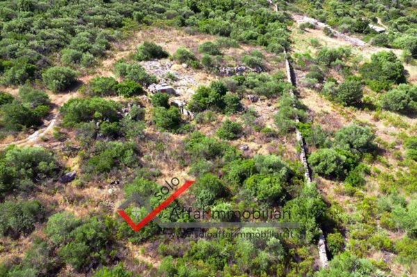 terreno agricolo in vendita a Loiri Porto San Paolo