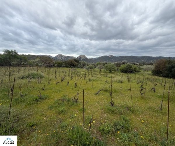 terreno edificabile in vendita a Loiri Porto San Paolo