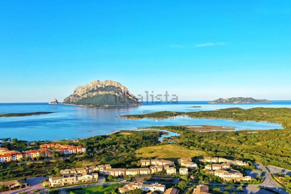 casa semindipendente in vendita a Loiri Porto San Paolo