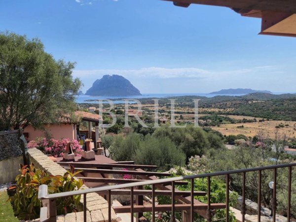 casa indipendente in vendita a Loiri Porto San Paolo in zona Vaccileddi.