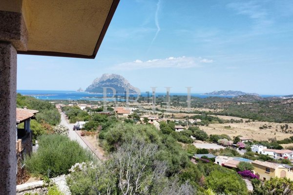 casa indipendente in vendita a Loiri Porto San Paolo in zona Vaccileddi.
