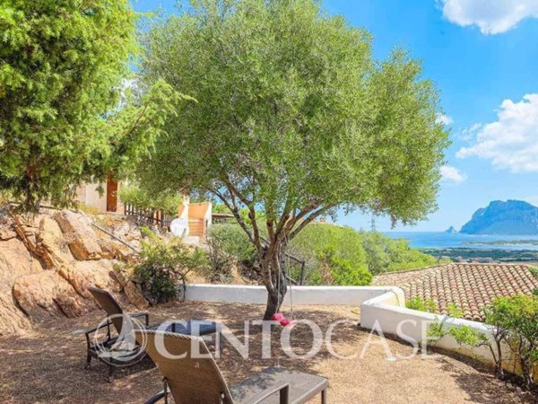 casa indipendente in vendita a Loiri Porto San Paolo in zona Vaccileddi.
