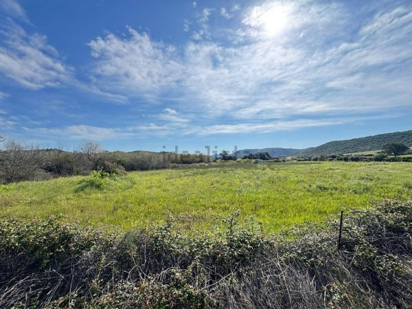 terreno agricolo in vendita a Loiri Porto San Paolo