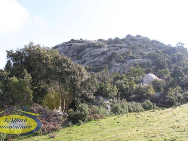 terreno agricolo in vendita a Loiri Porto San Paolo in zona Trudda