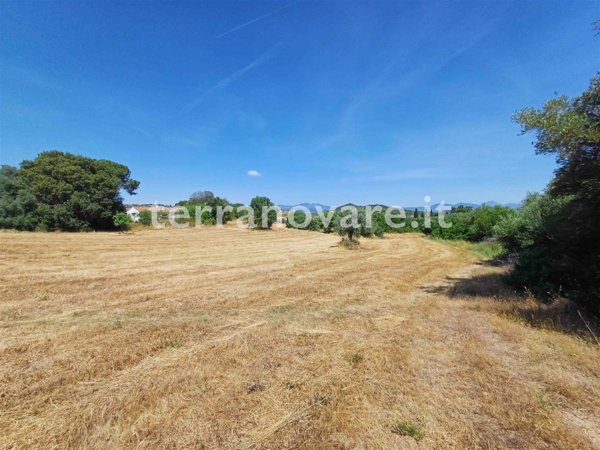 terreno agricolo in vendita a Loiri Porto San Paolo in zona Trudda
