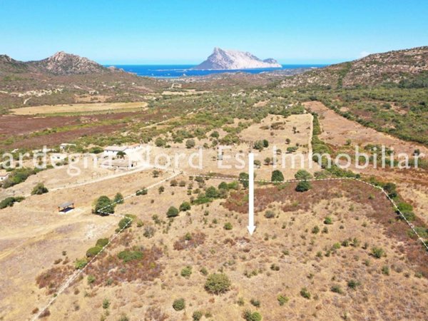 terreno agricolo in vendita a Loiri Porto San Paolo in zona Trudda