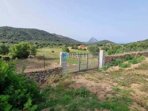 terreno in vendita a Loiri Porto San Paolo in zona Trudda