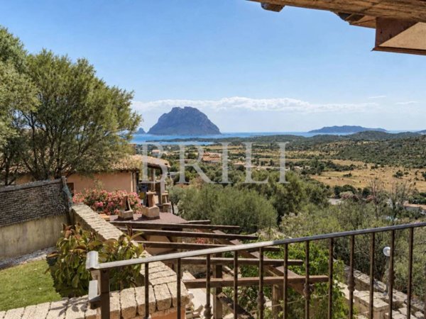 casa indipendente in vendita a Loiri Porto San Paolo in zona Vaccileddi.