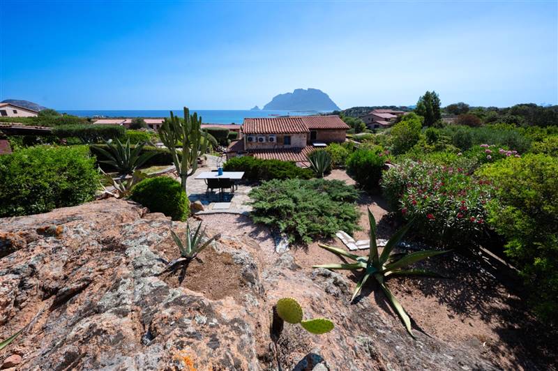 casa indipendente in vendita a Loiri Porto San Paolo in zona Vaccileddi.