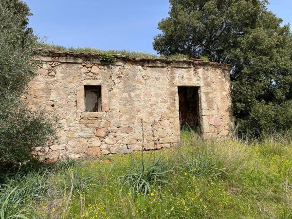 terreno agricolo in vendita a Sant'Antonio di Gallura