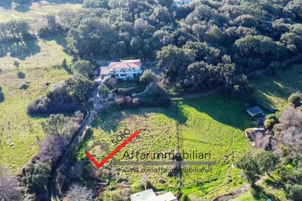 negozio in vendita a Sant'Antonio di Gallura