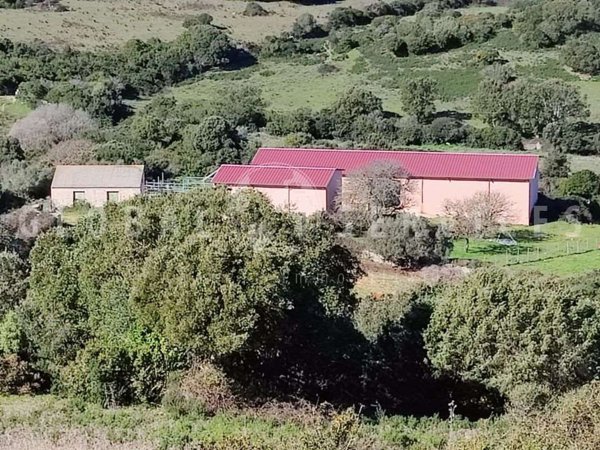 appartamento in vendita a Sant'Antonio di Gallura