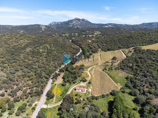 casale in vendita a Sant'Antonio di Gallura
