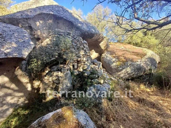 terreno agricolo in vendita a Sant'Antonio di Gallura