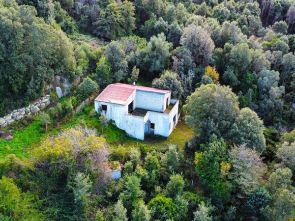 casa indipendente in vendita a Sant'Antonio di Gallura