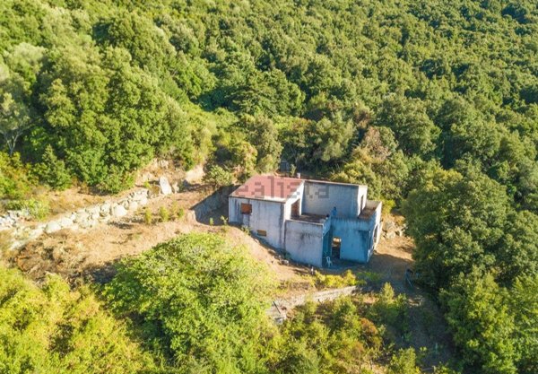 pentavano in vendita a Sant'Antonio di Gallura