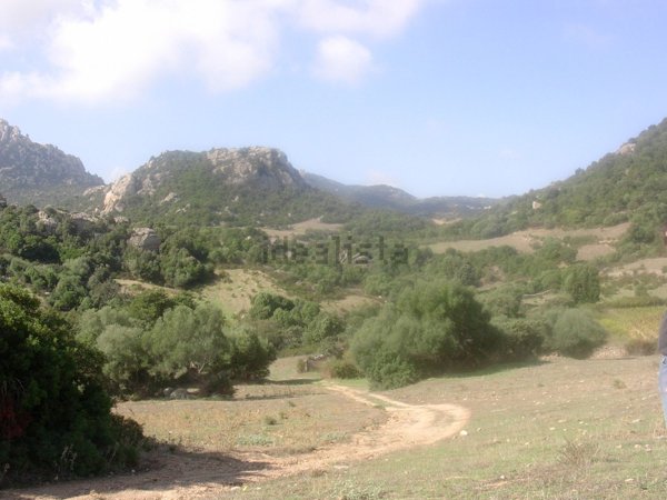 azienda agricola in vendita a Sant'Antonio di Gallura
