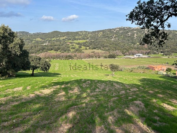 terreno agricolo in vendita a Sant'Antonio di Gallura