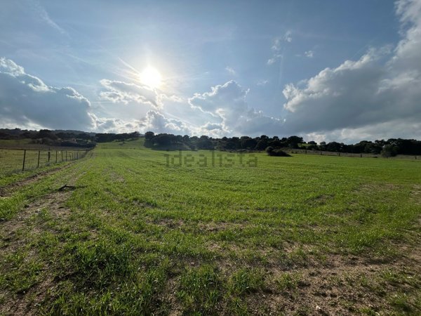 terreno agricolo in vendita a Sant'Antonio di Gallura
