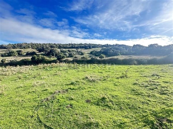 terreno agricolo in vendita a Sant'Antonio di Gallura
