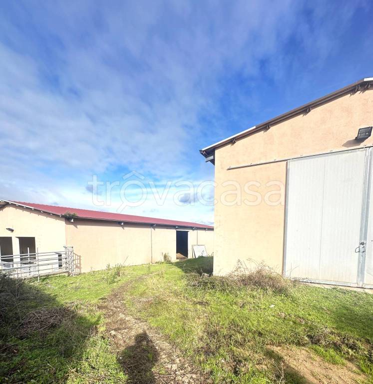terreno agricolo in vendita a Sant'Antonio di Gallura