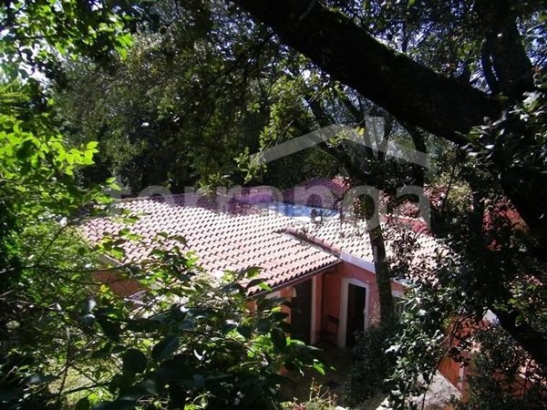 negozio in vendita a Sant'Antonio di Gallura