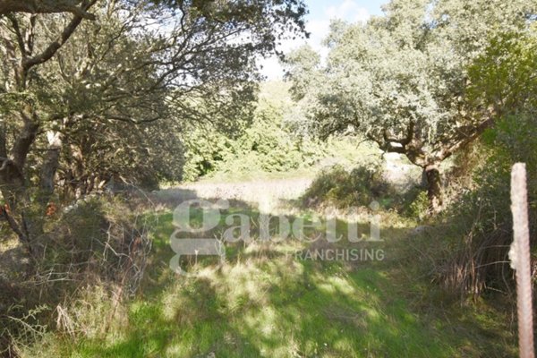 terreno agricolo in vendita a Sant'Antonio di Gallura